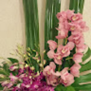 Meet your Posher, Basil